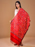 Women's Aari Embroidered Wool Stole